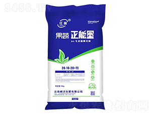 ����������20-20-20+TE-�t��-����