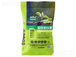 ���走����-�ε��R-ʢ�����B(t��i)