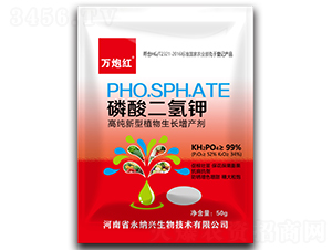 ��������-�f�ڼt-���{�d