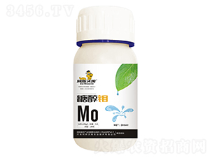 �Ǵ��f-��˹��ķ