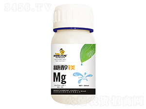 �Ǵ��V-��˹��ķ