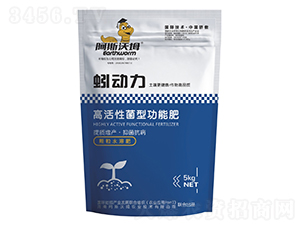 �߻��Ծ��͹��ܷ�-��(d��ng)��-��˹��ķ