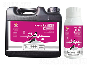 根匠（肽酶激活強力生根）-喜上家-瑞可豐