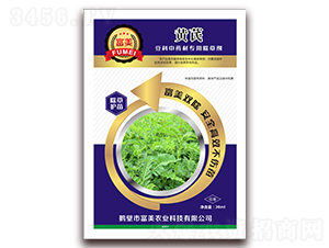 �S��������������ˎ�ĳ��݄�-����