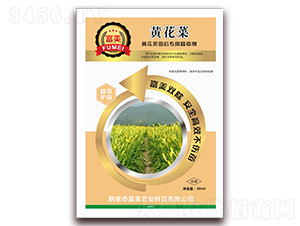 �S�������(zhu��n)�ó��݄�-����