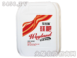 ������-���-δ�����W 