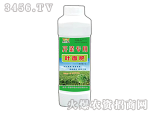 �۲ˌ����~���-��������