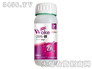 �ֿơ��\-������