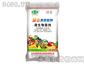 �����S�����΢�������-Ȫ�����