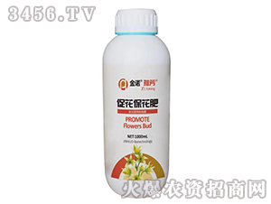 ����������-�ŷ�-���Z����