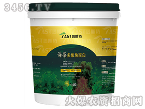 �����S�~����-�r���r�I(y��)