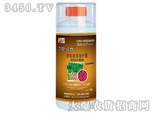 多粘類芽孢桿菌球孢白僵菌-花生拌種劑-昕爵