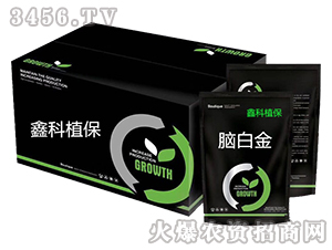 ֲ���X�׽�-�ο�ֲ��-������