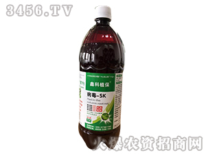 ����-SK-������