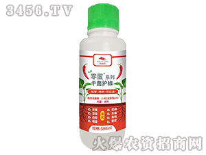 �ݲݡ����¡��K�ƽ�-ǧ���o(h��)��-������-�f�ڿ�