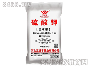 ����⛣�ȫˮ�ܣ�-����S