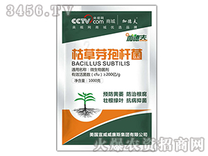 �ݲ�ѿ�ߗU��-��ɭ��