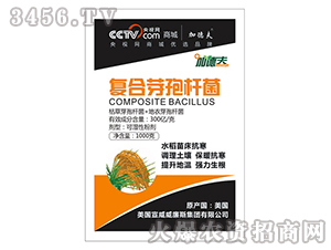 ��(f��)��ѿ�ߗU��-��ɭ��