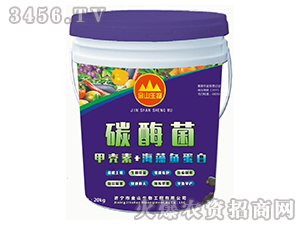 ̼ø���ך���+�����~����-��ɽ����