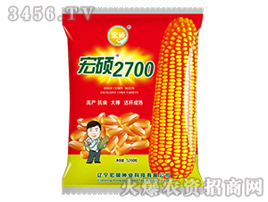 宏碩2700-玉米雜交種-宏碩種業(yè)