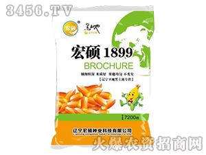 ��T1899��7200����-�����s���N-��T�N�I(y��)