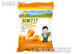 宏強717-玉米雜交種-宏碩種業(yè)