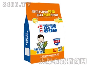 新一代宏碩899-玉米雜交種-宏碩種業(yè)