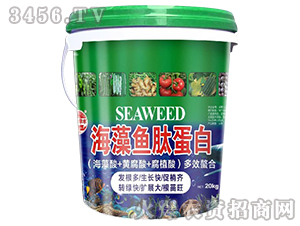 �����~�ĵ���-��@���S-���S�ʘI(y��)