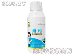 ����-��������