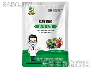 �L֦ľù΢�������-��Ϣ���-��������