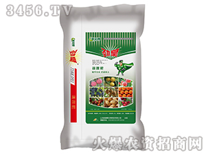 �Ż�-�{(di��o)����-�W�¸�