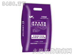 �ز������(zhu��n)�þ���-�f(w��n)����-Ǭ�r(n��ng)