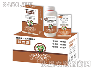 ΢����τ�-������-Ǭ�r(n��ng)