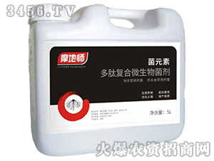 ��Ԫ�ض��ďͺ�΢�������-Ħ�؎�-�������r(n��ng)