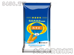 �LЧ���׷�-���ز�-���r(n��ng)ʥ�S