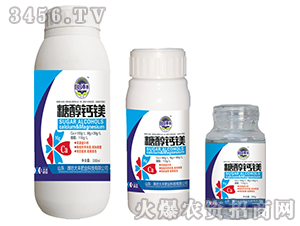 �Ǵ��}�V-��@���S-���S�ʘI(y��)