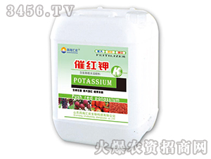 �߼t�-��@���S-���S�ʘI(y��)