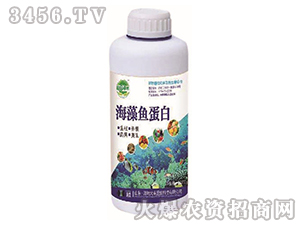 �����~(y��)����-��@���S-���S�ʘI(y��) 