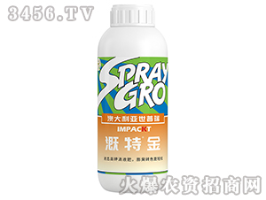 ���ؽ�-����