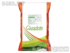 �s��QUADROˮ�ܷ�-����