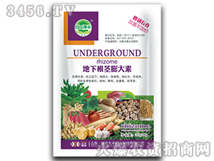 ���¸��o�����-��@���S-���S�ʘI(y��)