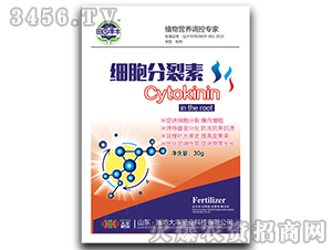 ��(x��)��������-��@���S-���S�ʘI(y��) 