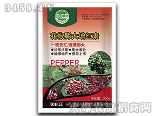 ����������t��-��@���S-���S�ʘI(y��)