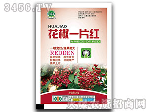 ����һƬ�t-��@���S-���S�ʘI(y��)