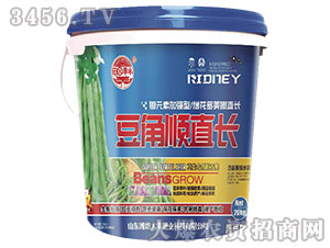 �����ֱ�L(zh��ng)-��@���S-���S�ʘI(y��)