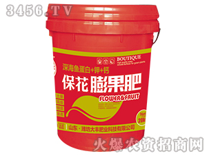 20kg���������-��@���S-���S�ʘI(y��)