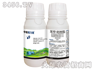 30%���ס����������ͣ�100�ˣ�-��ֲֲ����-��ֲ���A