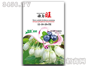 �{ݮ���ô���Ԫ��ˮ�ܷ���12-18-20+TE-������-�������