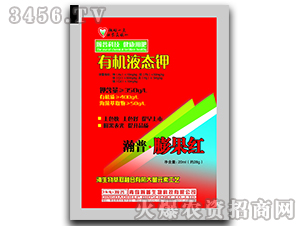 �ЙCҺ�B(t��i)�-�������t-�������