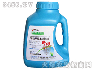 ��������ˮ�ܷ���-ţ��-�������